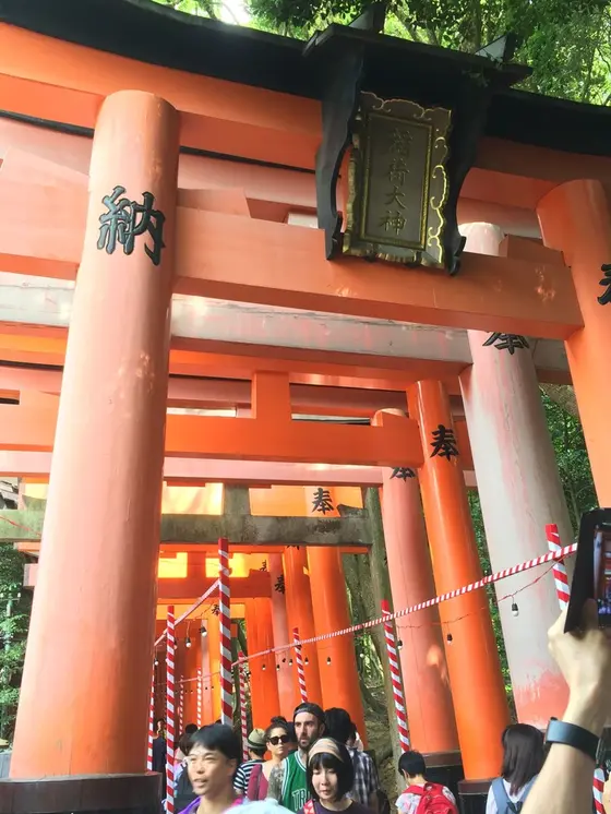 千本鳥居⛩