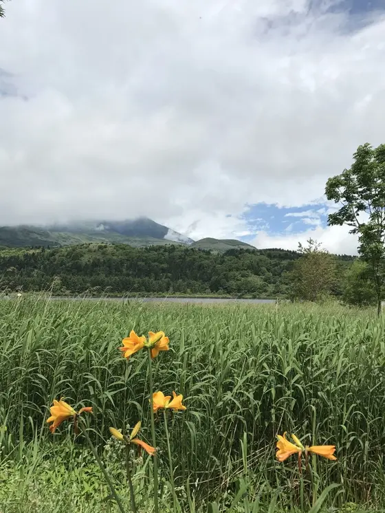 オタトマリ沼