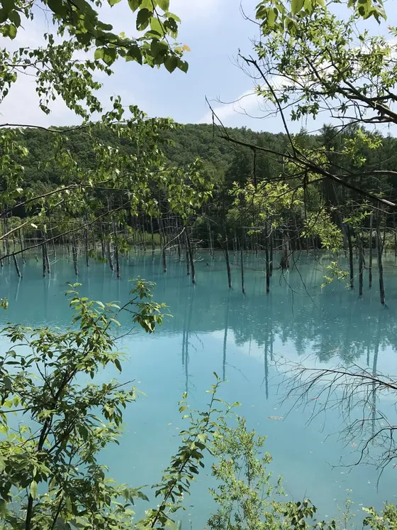 青い池