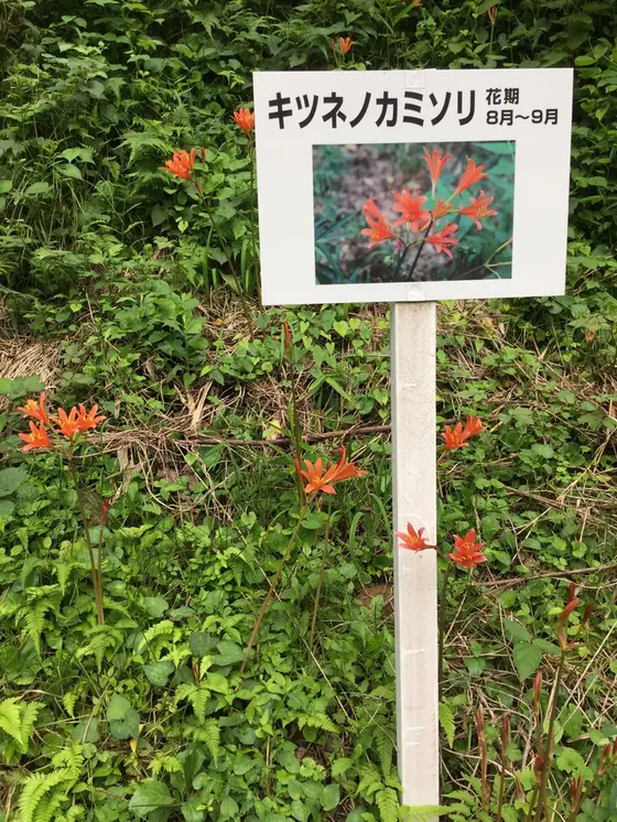 スポット内のおすすめ