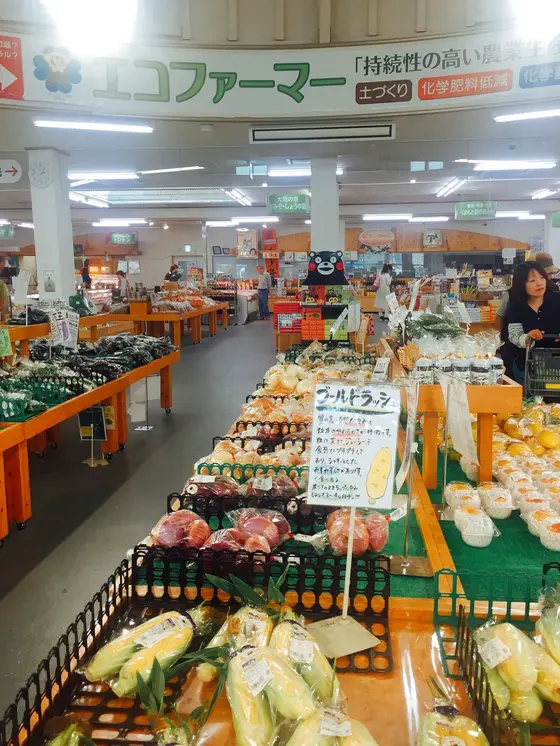 スポット内のおすすめ