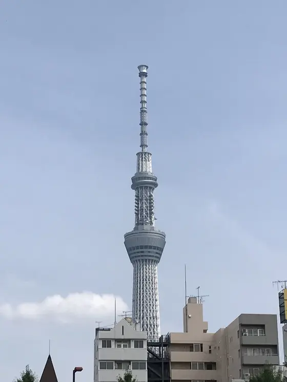 浅草から見たスカイツリー