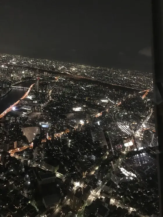 スカイツリーの景色