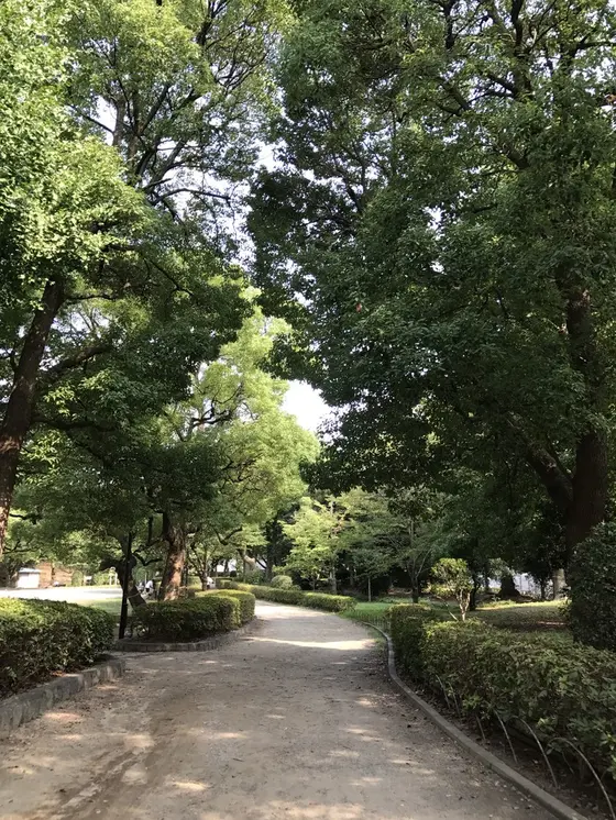 公園
