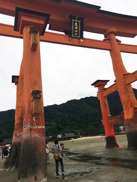 干潮時