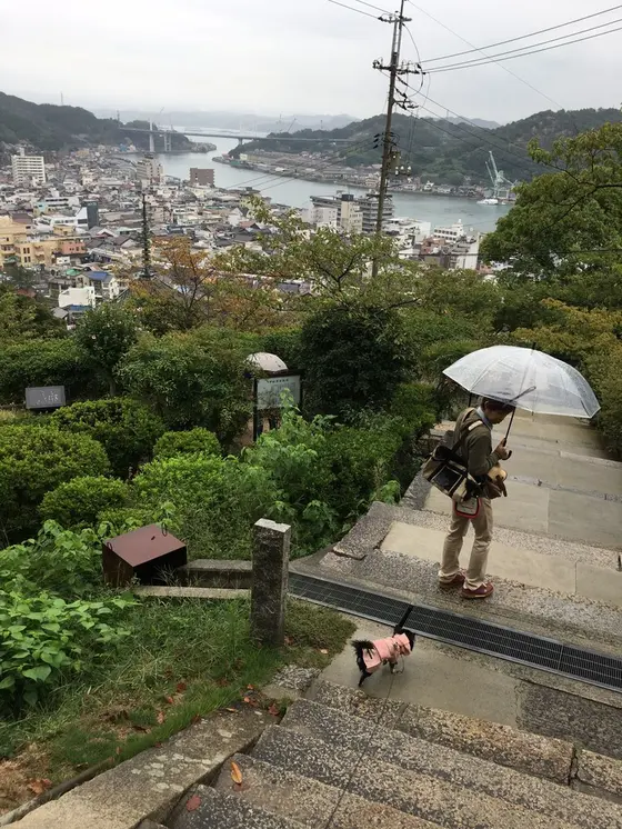 千光寺を中心に