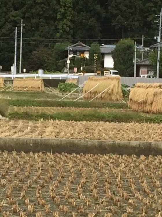 長野街道