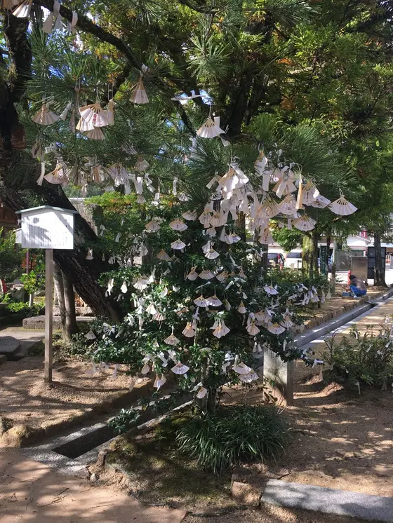 おみくじが沢山