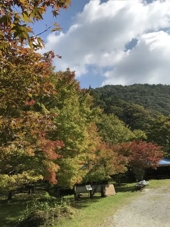 紅葉🍁には少し早いようです