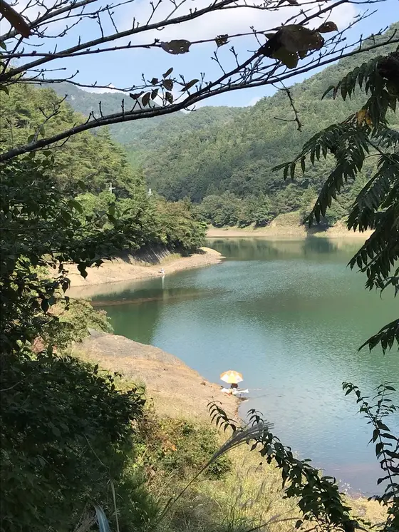 ヘラブナ釣り