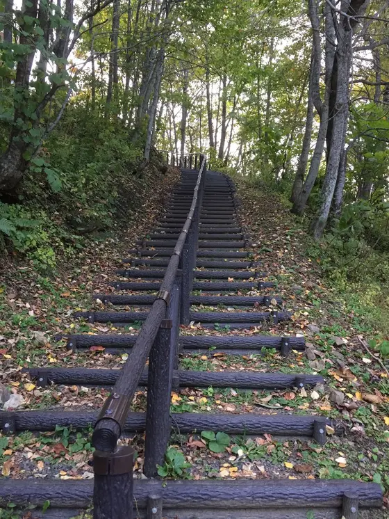 この長い階段を登った先に見られる絶景！