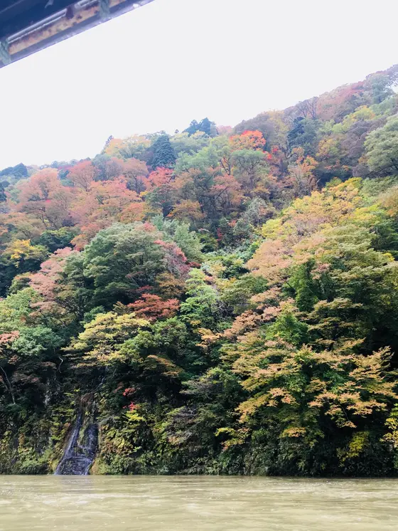 周遊舟の車窓から②