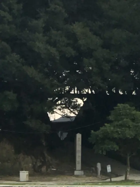 竜神橋