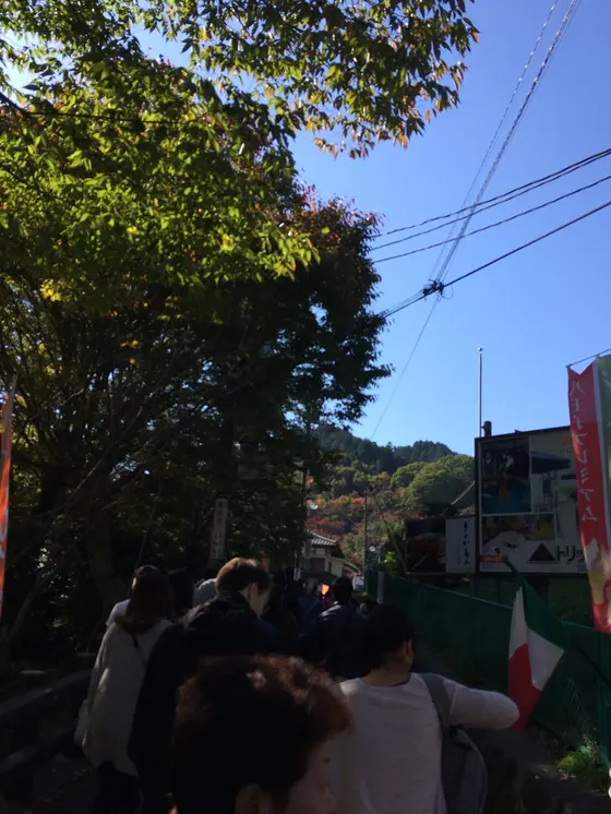 スポット内のおすすめ