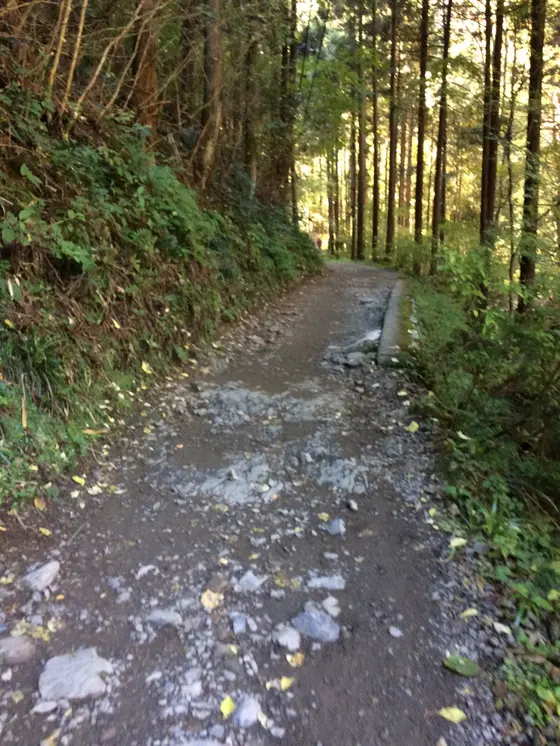 スポット内のおすすめ