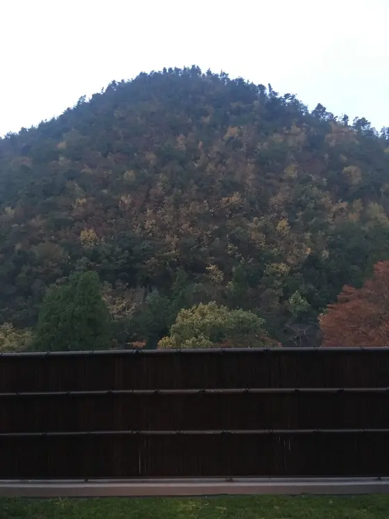 お部屋のテラスからの鷹峯
