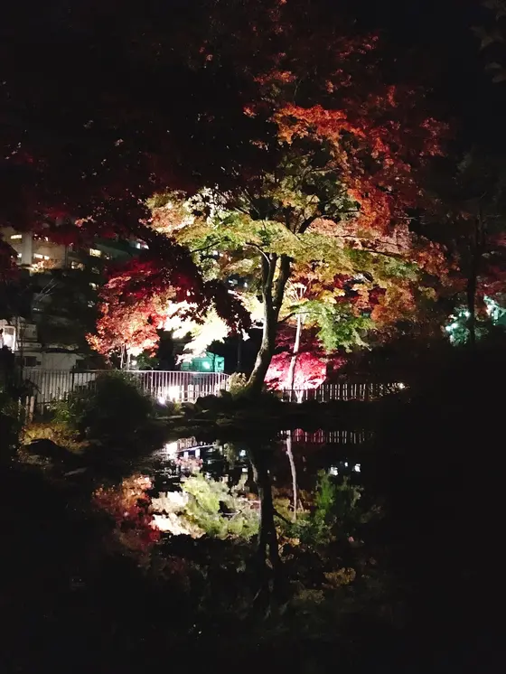 池に映る紅葉