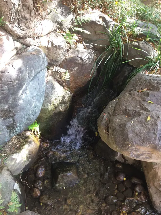 湧き水 の 元