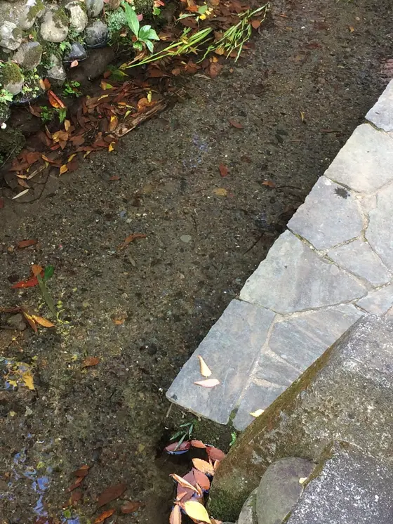 ホタル が 居るの かなぁ〜？