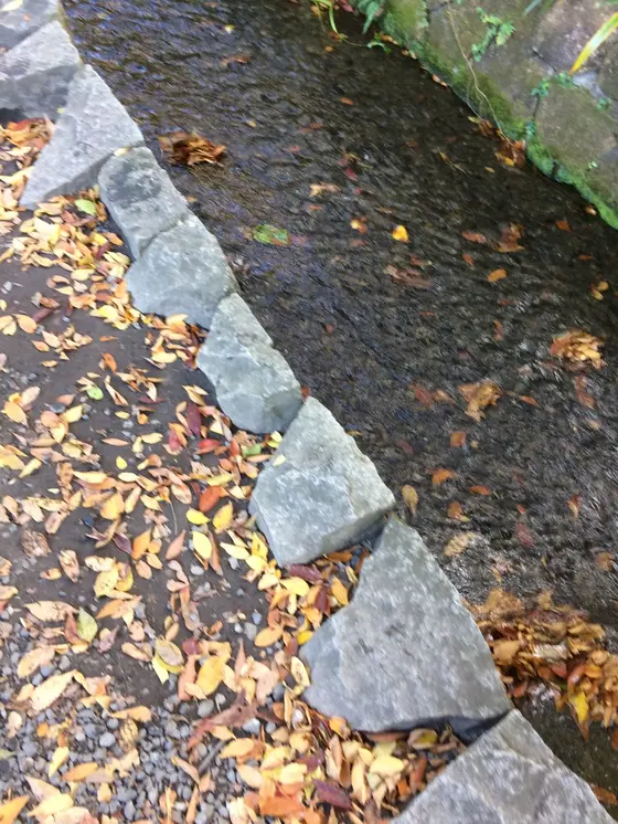 紅葉の 落ち葉 が せせらぎに のって 流れている。