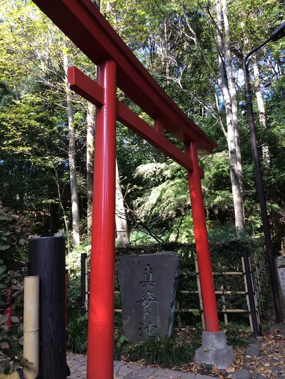 真姿の池 入口の 鳥居⛩