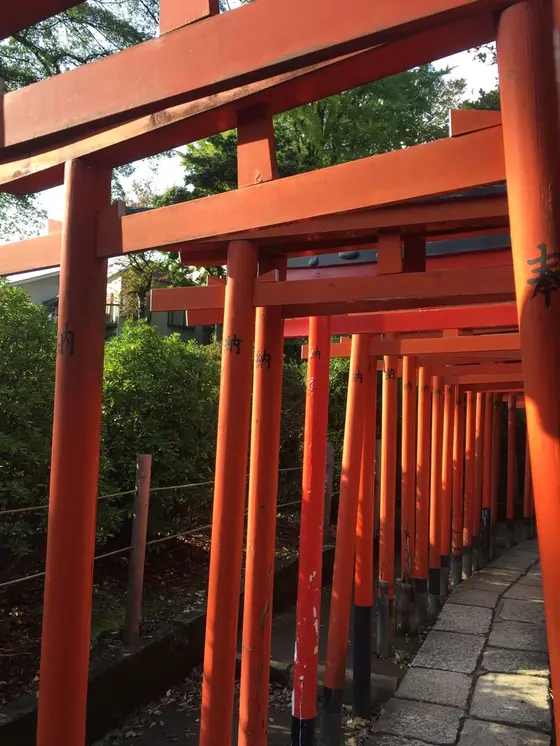 有名な鳥居。
