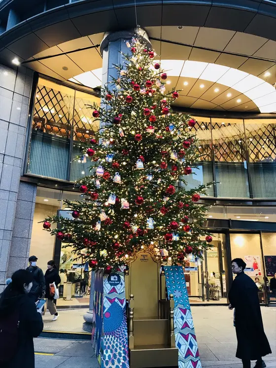 ツリーの前で座って写真が撮れます🤳
