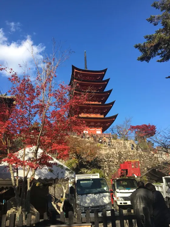 スポット内のおすすめ