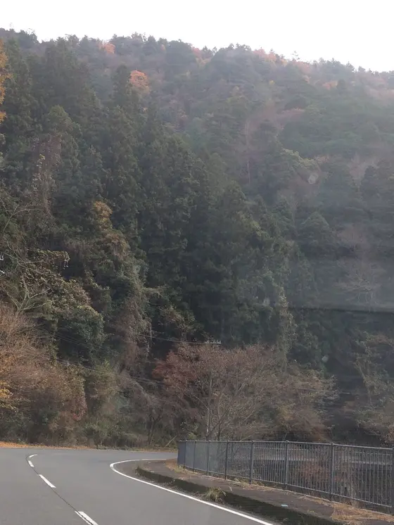 雲行きが 怪しい 感じ