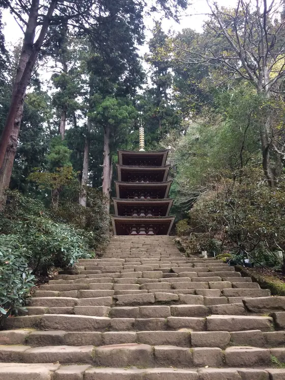 下から撮影してみました