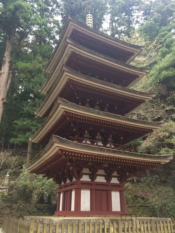 上段 左から撮影してみました