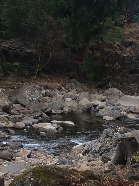 宇陀川