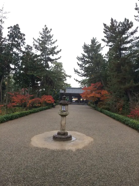 唐招提寺 の 有名な ワンショット