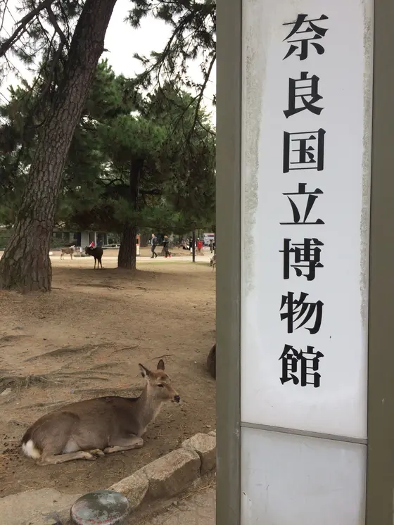 鹿と 案内看板 🦌