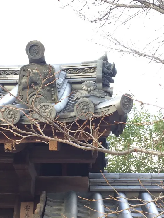 真ん中、タンポポ かなぁ〜？