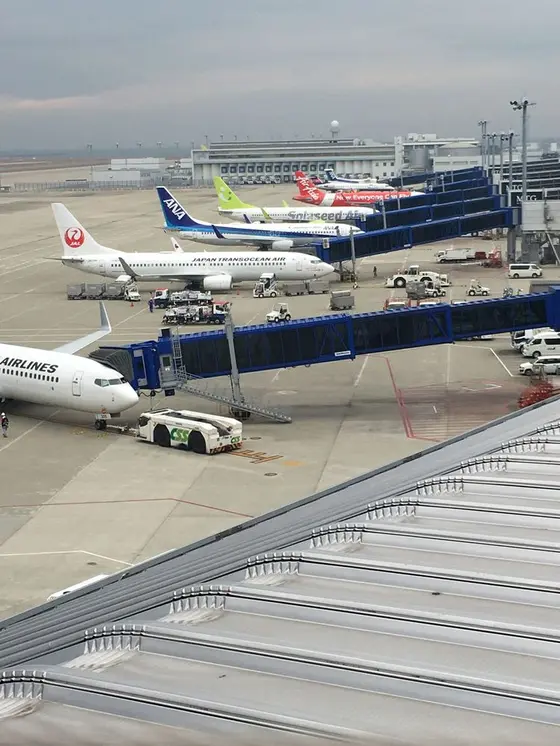 フライト時間は1時間もないですね