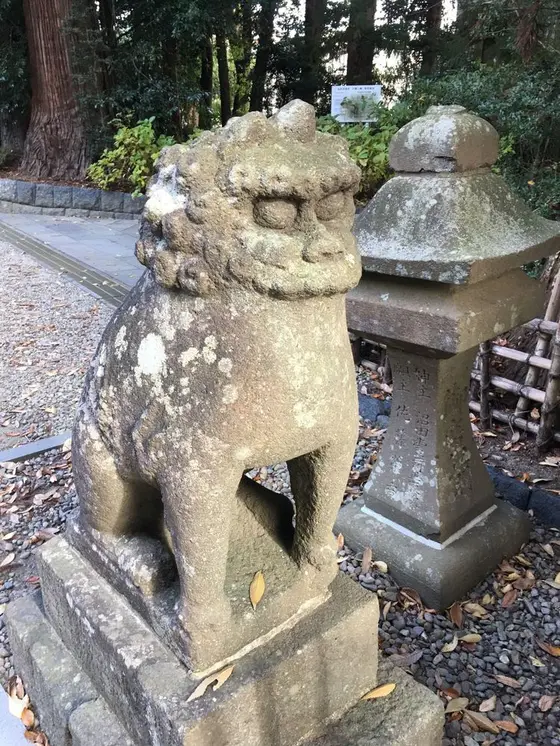 狛犬1