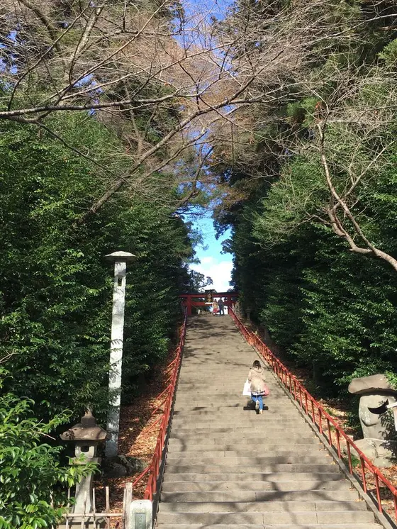 少し登ります。