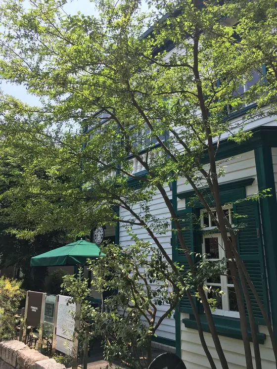 おしゃれな洋館