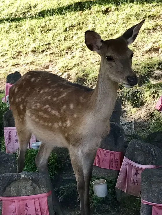 あらこんなところに！