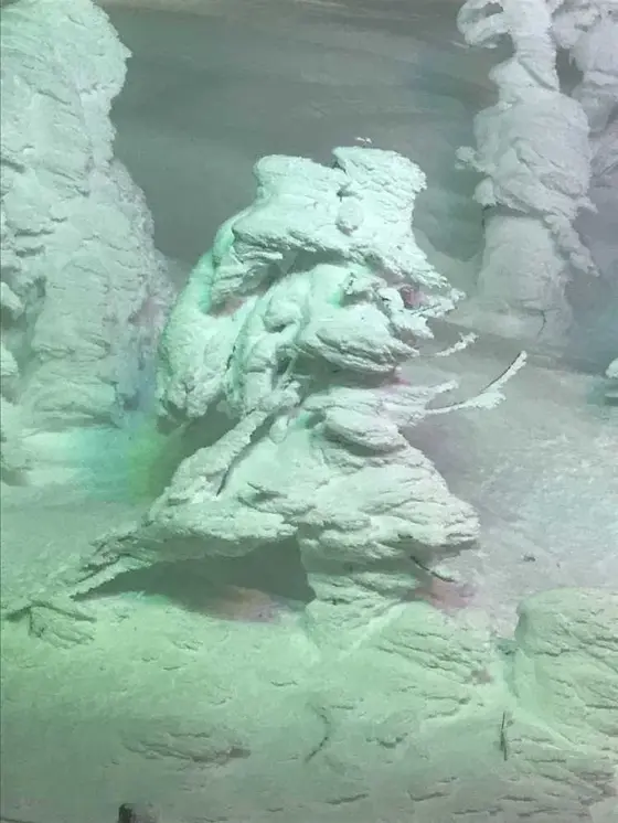 まさにスノーモンスター！