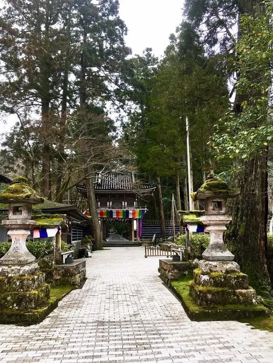 正面