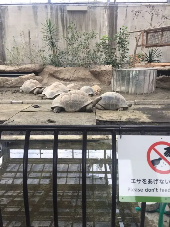 舐めたらアカン