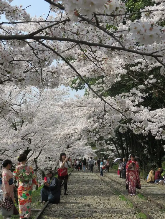 カメラを片手に