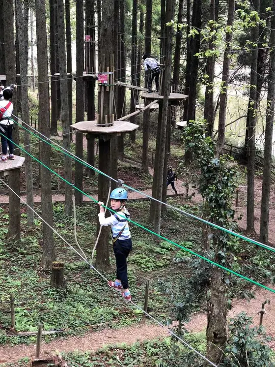 キャノピーコース