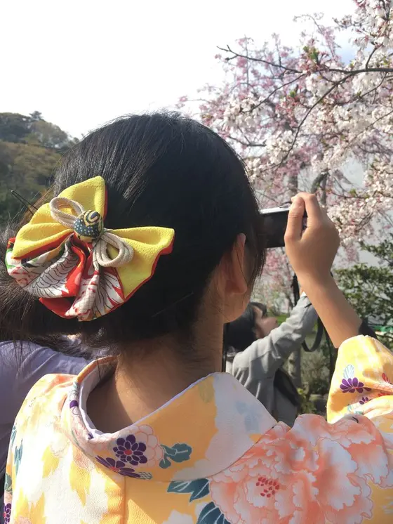 着物レンタル