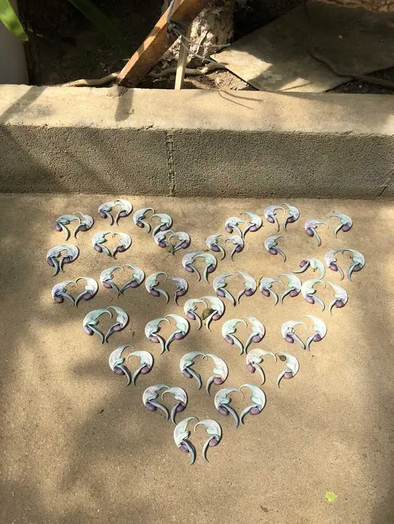 ヒスイカズラの花びらアート