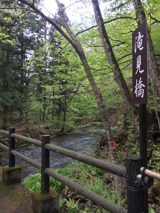 道中