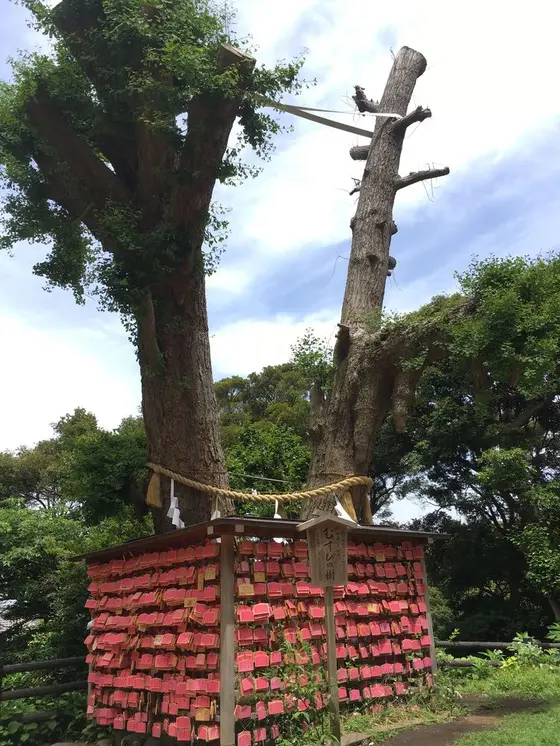 ついでに縁も結ぶ