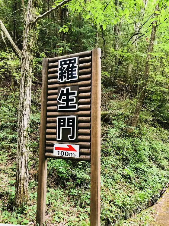 スポット内のおすすめ